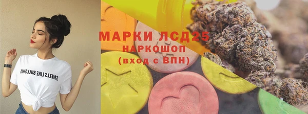 крисы Аркадак