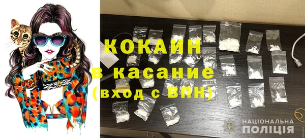 крисы Аркадак