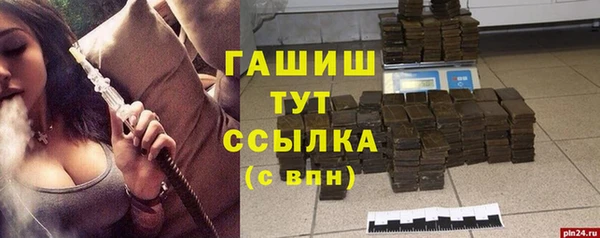 шишки Магас