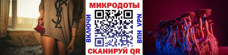 дарнет шоп  Сегежа  Псилоцибиновые грибы GOLDEN TEACHER 